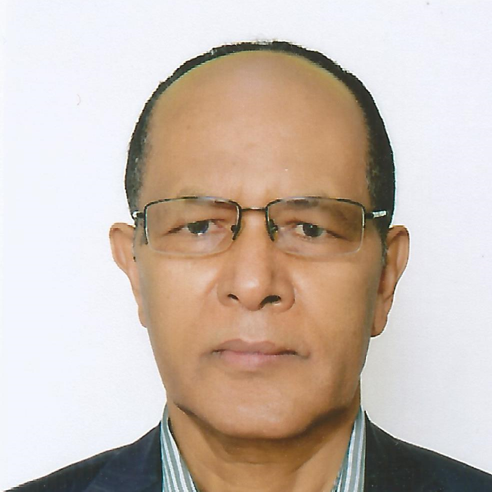 Amha Gebremedhin